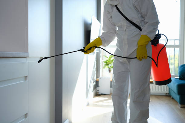 Best Professional Mold Removal  in Elkridge, MD